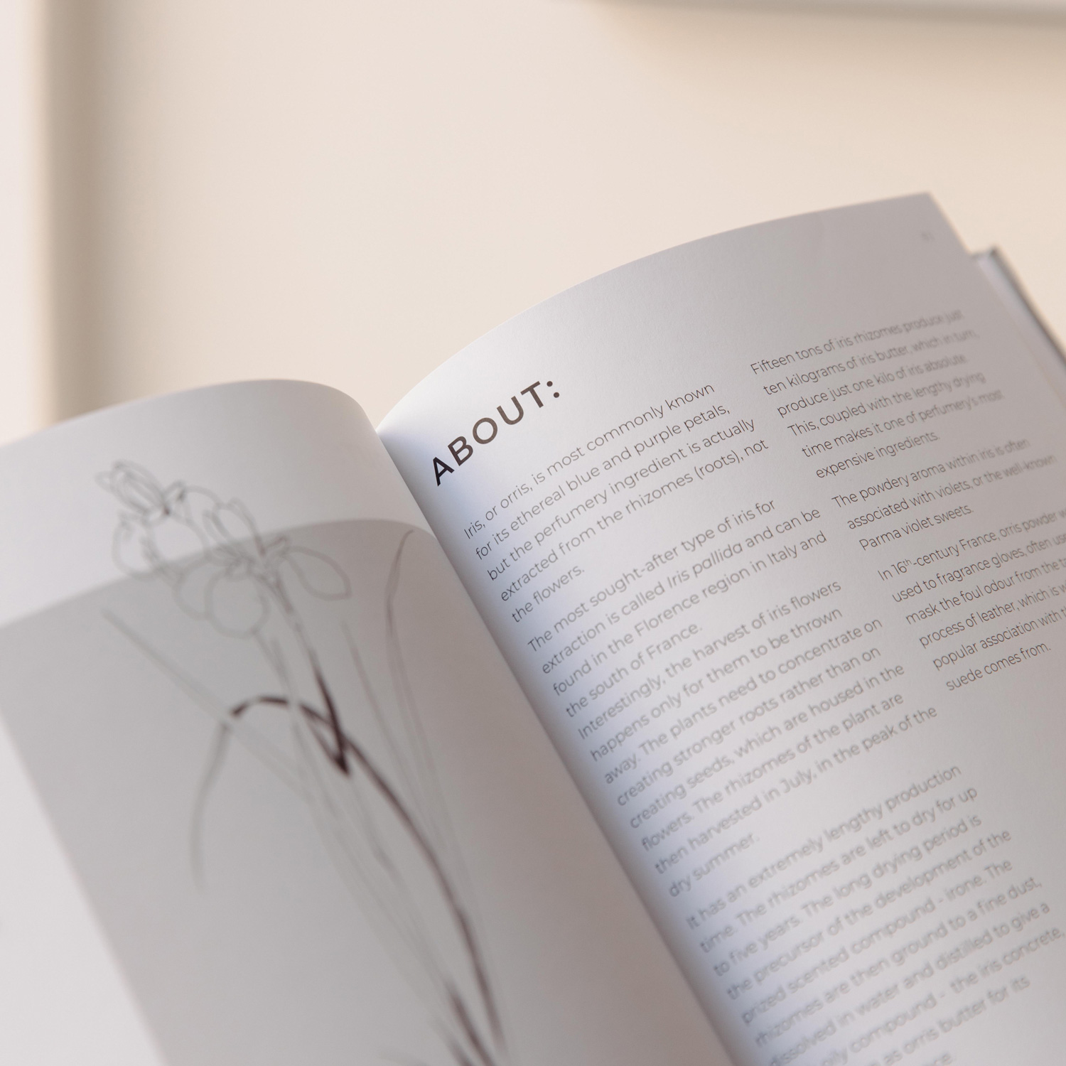 Perfumer Book EPC
